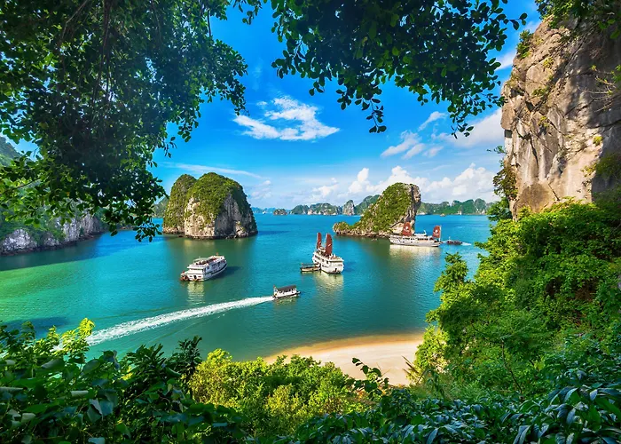  Signature Royal Cruise